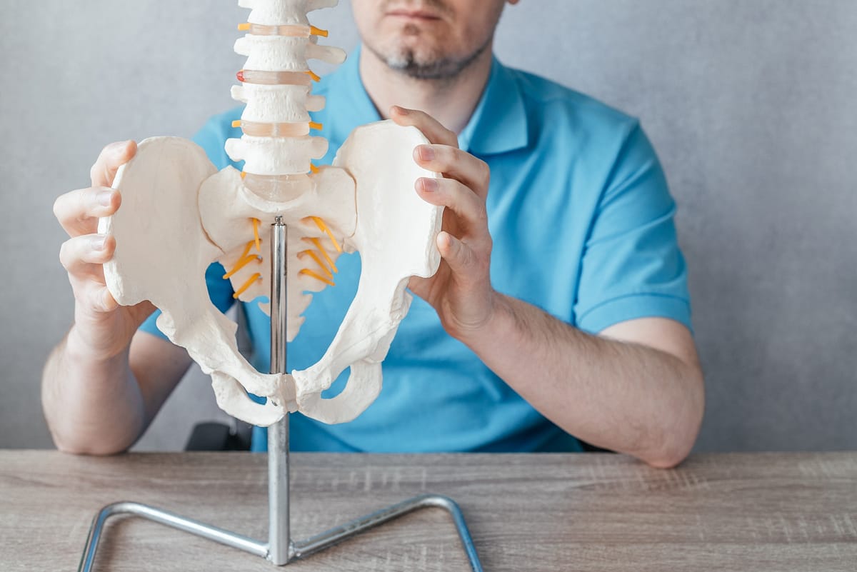 Close up of male doctor's hand showing iliac crest or hip bones on a skeleton spine model